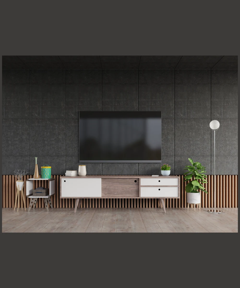 TV Unit